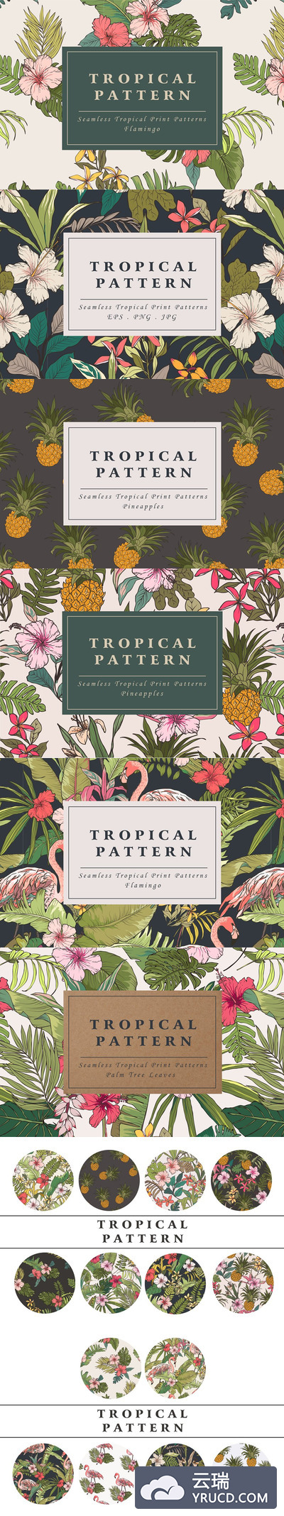 热带花卉图案 Tropical flower pattern