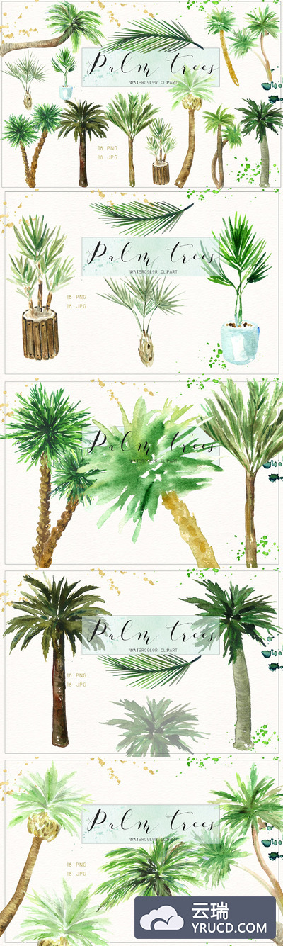 椰子树水彩素材包 Palm trees. Watercolor clipart.