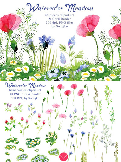 清新的水彩花卉素材 Watercolor Meadow clipart