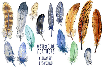 逼真的水彩画羽毛素材 Watercolor feather clipart