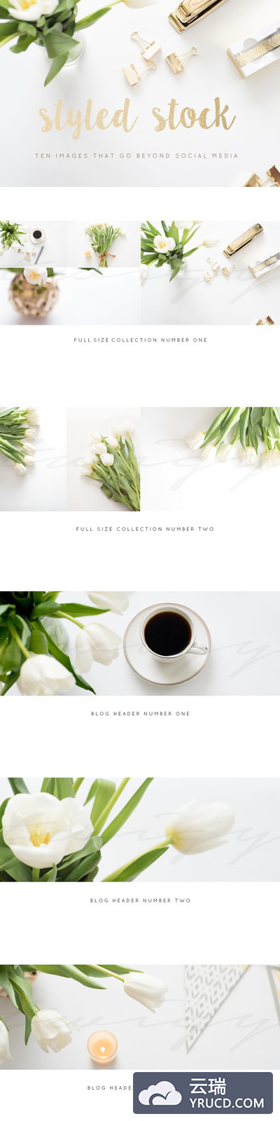 时尚金色的样机场景 Styled Stock Photos | Gold Images