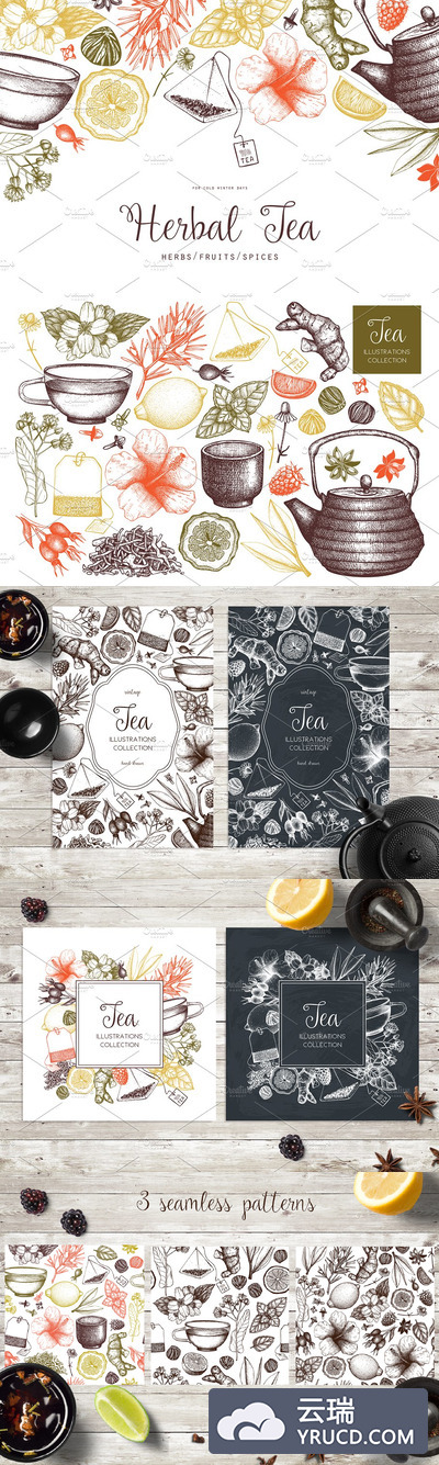 复古矢量茶配料集合 Vector Tea Ingredients Collection