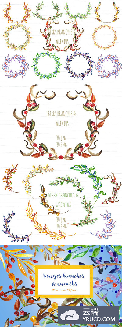 浆果花圈图形素材 Berry Wreaths and branches clipart