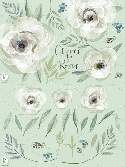 水彩白色橄榄枝橄榄花素材 Watercolor white roses and olive