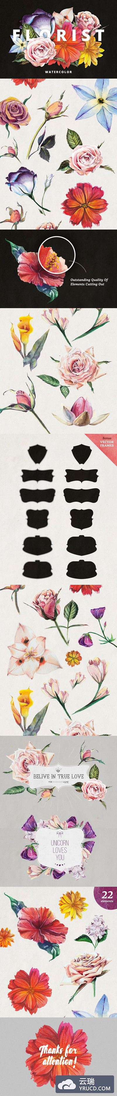 时尚手绘风格的夏天花卉花朵植物元素集合