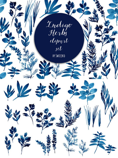 青花瓷效果的水彩草本花卉素材 Watercolor Herbs, leaves