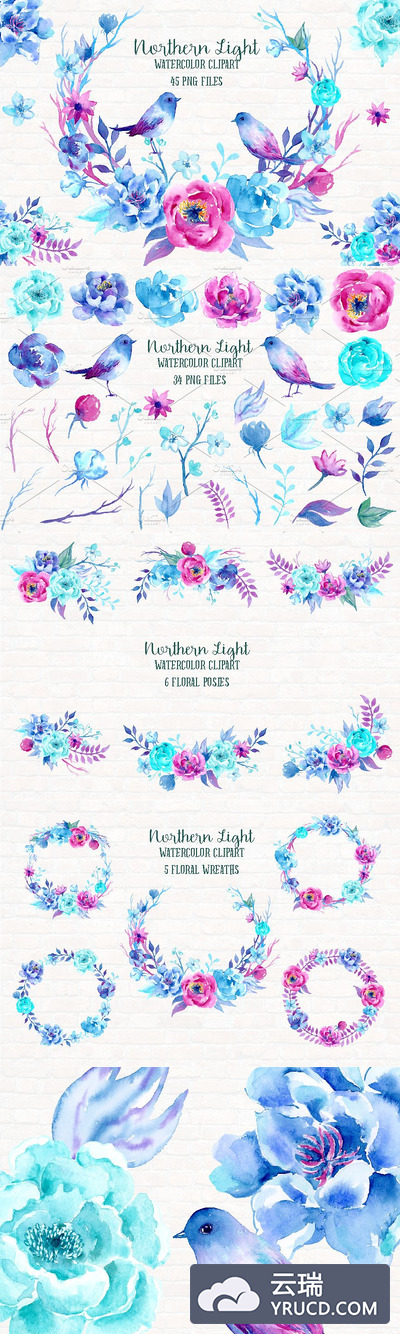 北极光水彩花卉与小鸟素材 Watercolor Clipart Northern Light