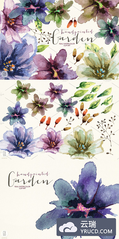 水彩画水彩园林花卉 Aquarelle watercolor garden flowers