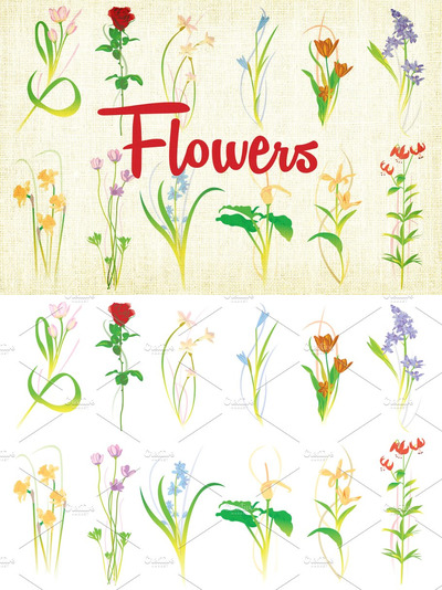 花卉植物插图素材 Flower Vector Illustrations