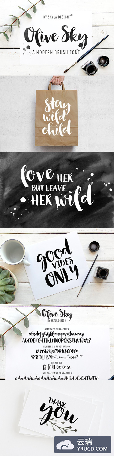 厚重的手写字体 Olive Sky, Modern brush font