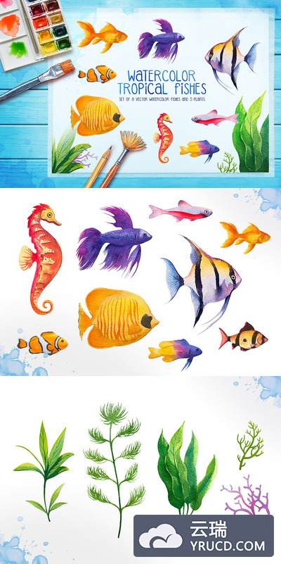 手绘卡通的水族馆鱼类&植物水彩画矢量素材下载[ai,eps,png,jpg]