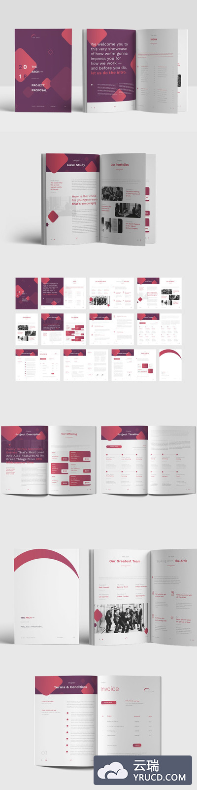 时尚简约高端的紫红色配色品牌手册画册楼书杂志设计模板（indd）