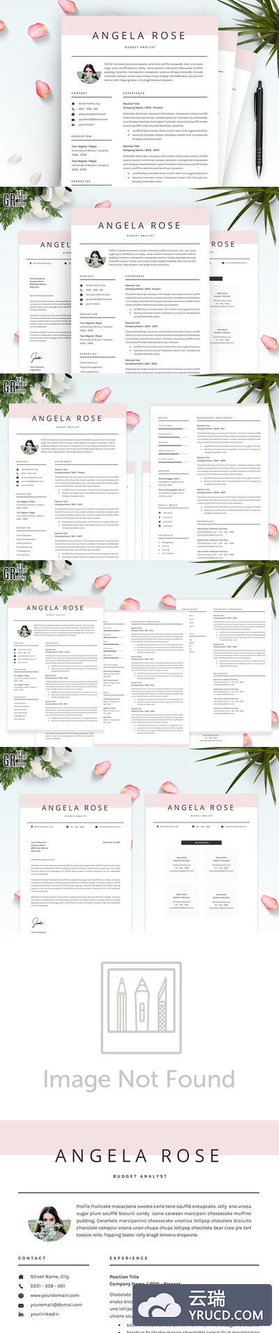 专业的简历模板 Professional Resume/CV Template
