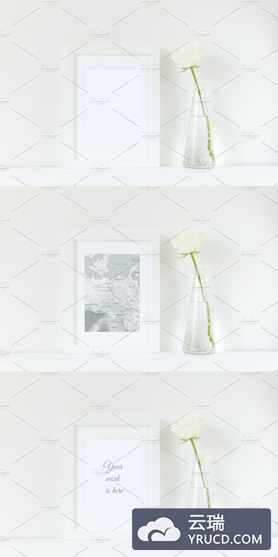 白框样机模板 White frame mockup with rose