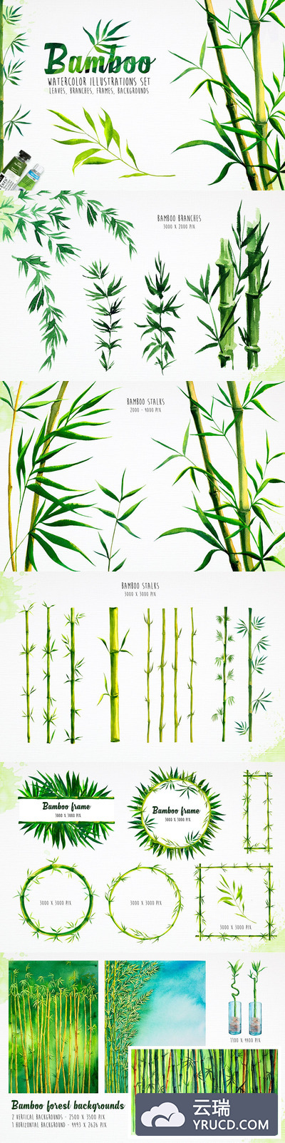 竹子水彩画矢量素材合辑下载[ai,png,jpg]