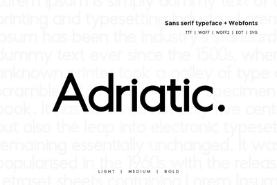 时尚高端现代的Unbranded字体+WebFonts