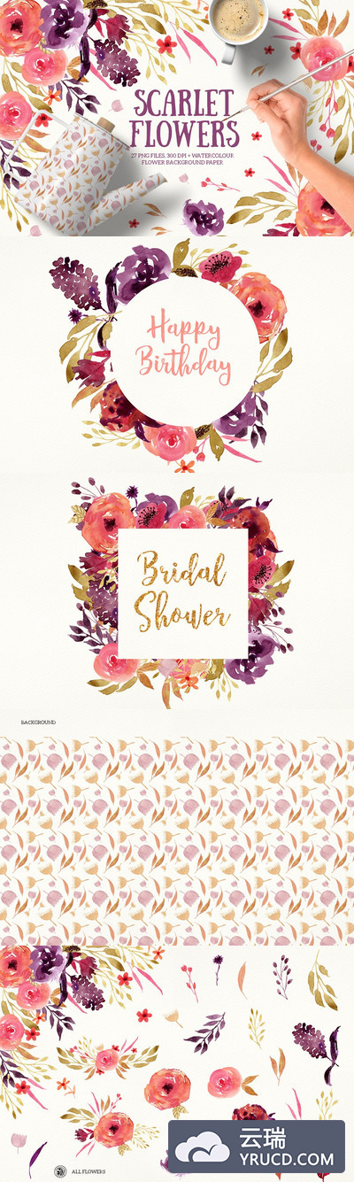 手绘玫瑰花水彩素材 Scarlet Flowers