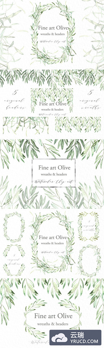 橄榄枝绘画素材 Olive oval wreaths & headers clipart