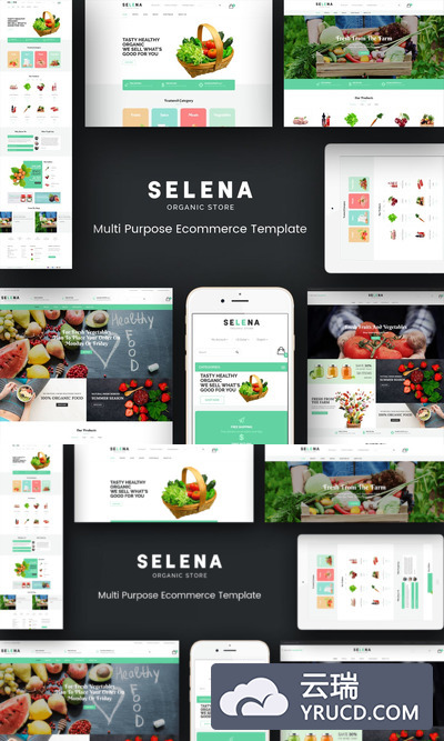 高品质的时尚高端绿色健康有机食品蔬菜响应式官方网站电商CMS设计模板