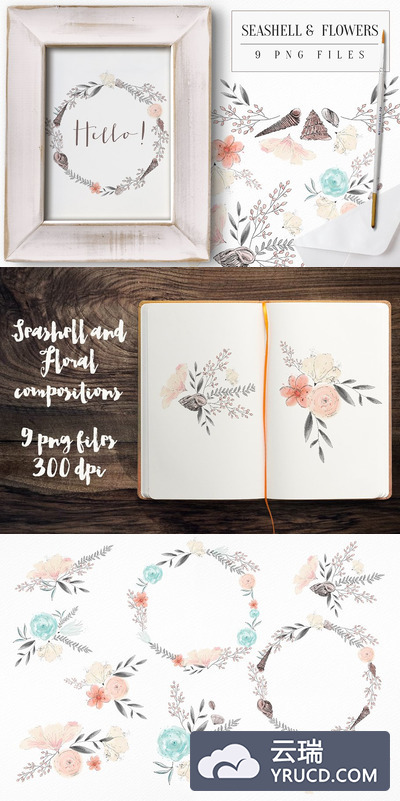 贝壳和鲜花图形素材 Seashell and Flowers