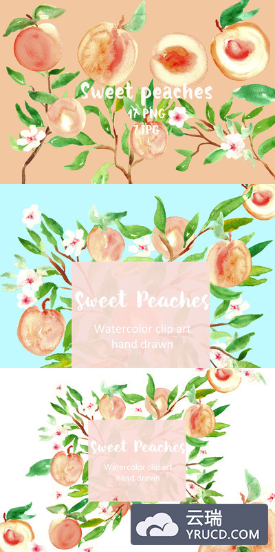 水蜜桃水彩图形素材 Peach. Watercolor clipart.