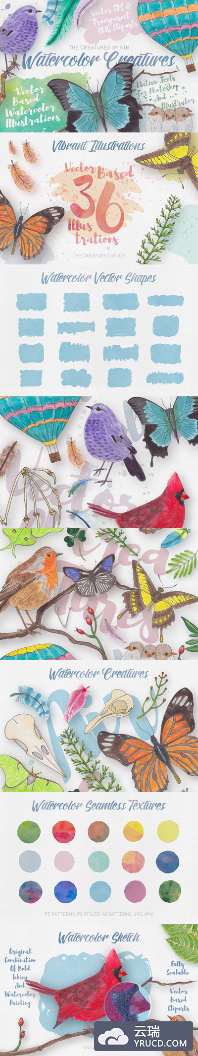 高品质的时尚手绘水彩风格生物植物元素大集合