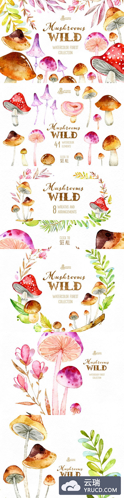 森林蘑菇图形套装 Wild Mushrooms. Forest Collection