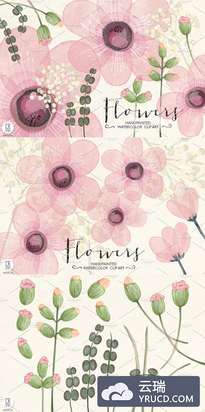 水彩粉红色的花朵 Watercolor pink flowers diy invite