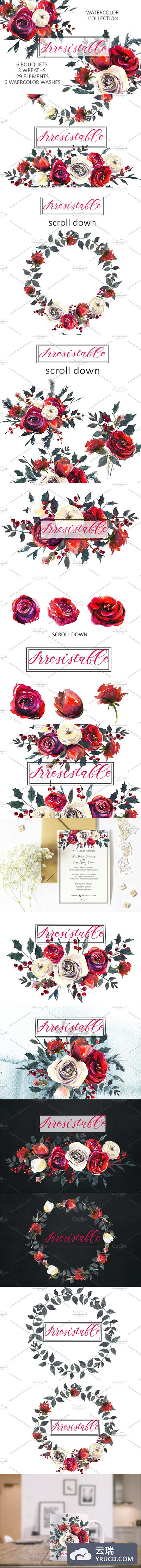 红色玫瑰水彩花卉 Red Roses Watercolor Clipart Set