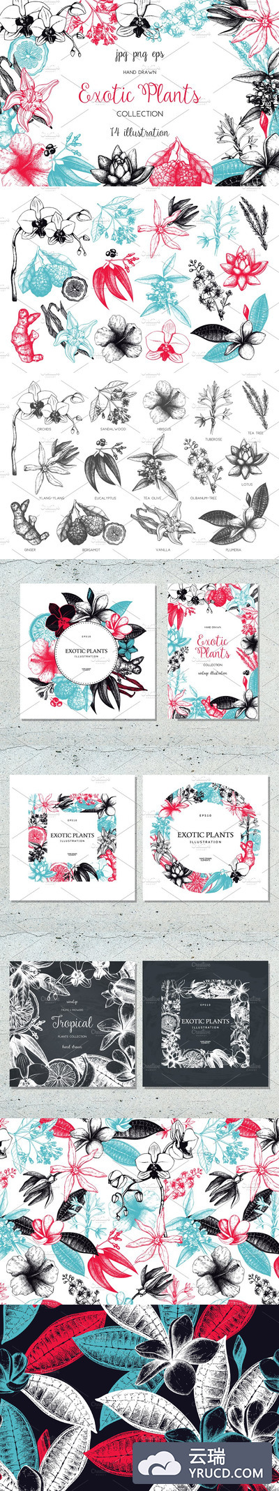 复古异国植物与花卉集 Vinatge Exotic Plants & Flowers Set