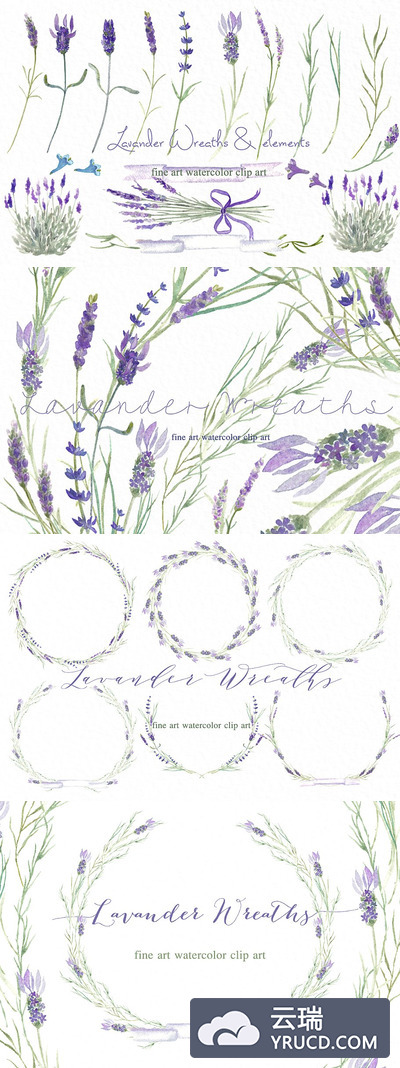 薰衣草水彩素材 Lavender wreaths watercolor flowers