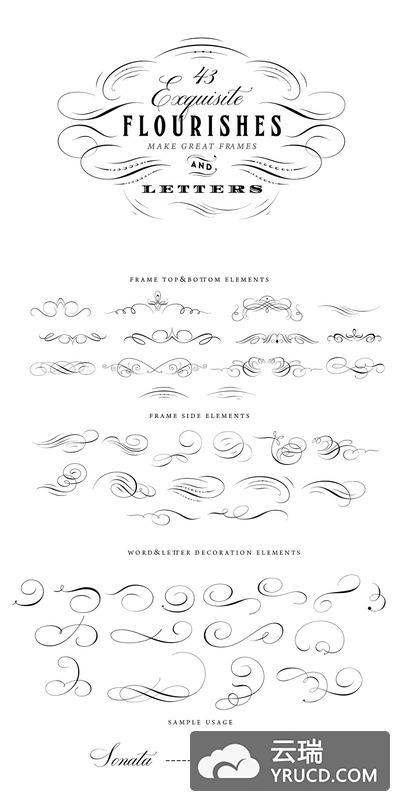 43个书法图形元素 43 Calligraphic Flourishes Bundle