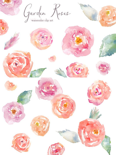 花园水彩玫瑰花卉 Garden Roses Watercolor Clip Art