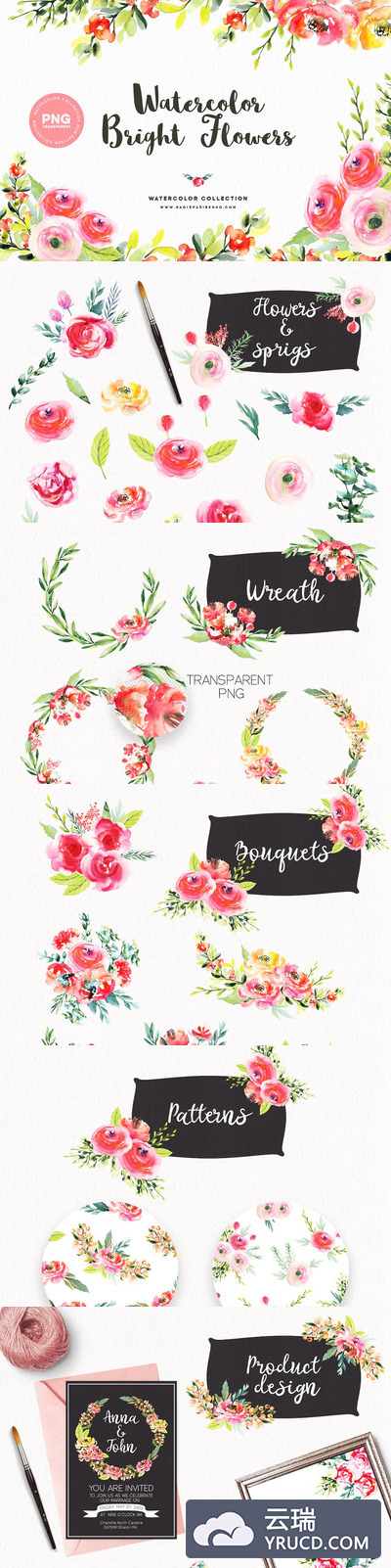 名快的水彩花卉素材 Watercolor Bright Flowers