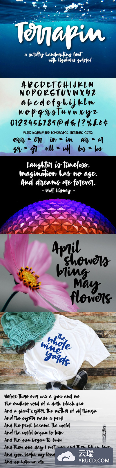 粗狂字体下载 Terrapin: a bold handwriting script