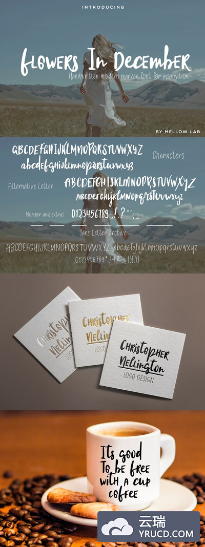 有趣的手写字体 Flowers In December Font Collection