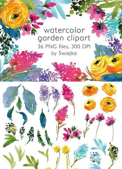 水彩花卉素材 Watercolor Country Flowers