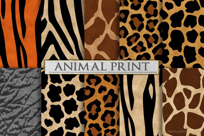 动物斑点花纹创意素材 Animal Print Patterns - Zebra Print