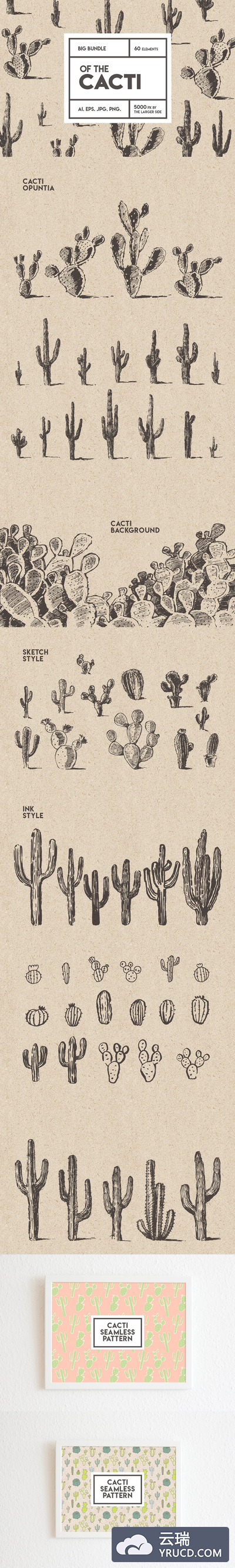 素描仙人掌素材 Big cacti bundle, sketch style