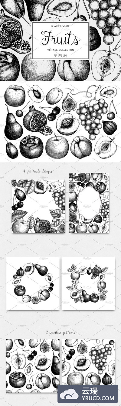 墨水手绘水果素材合集 Ink hand drawn fruit collection