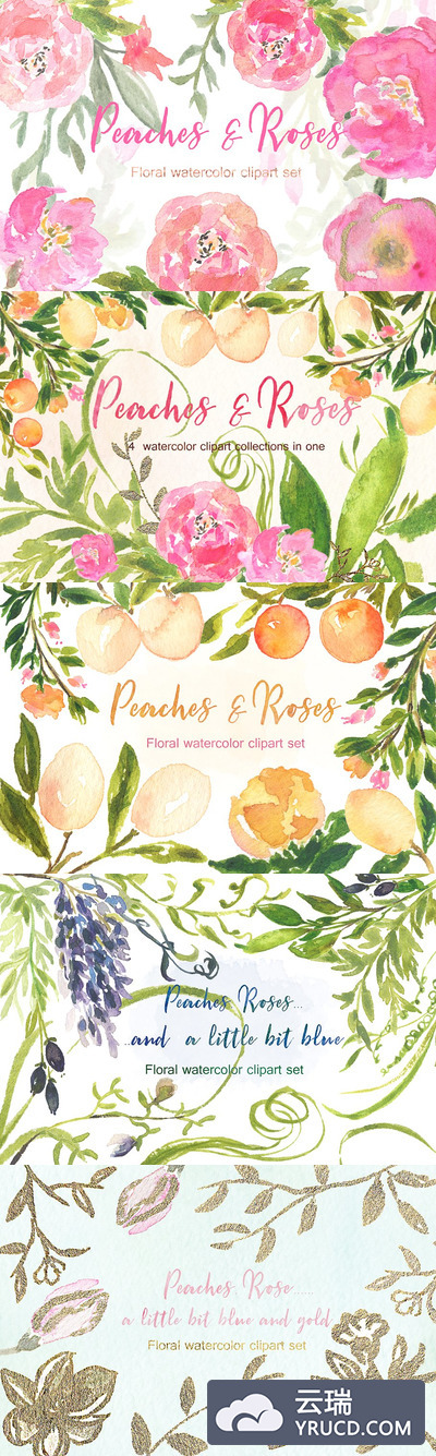 桃色玫瑰水彩素材 Peaches Roses and gold watercolor