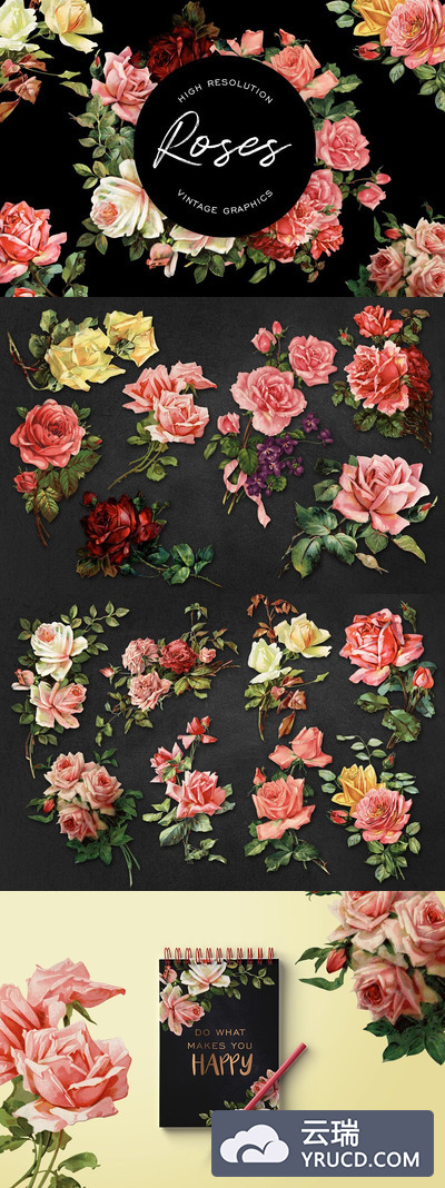 复古的玫瑰花图形素材 Vintage Rose Graphics