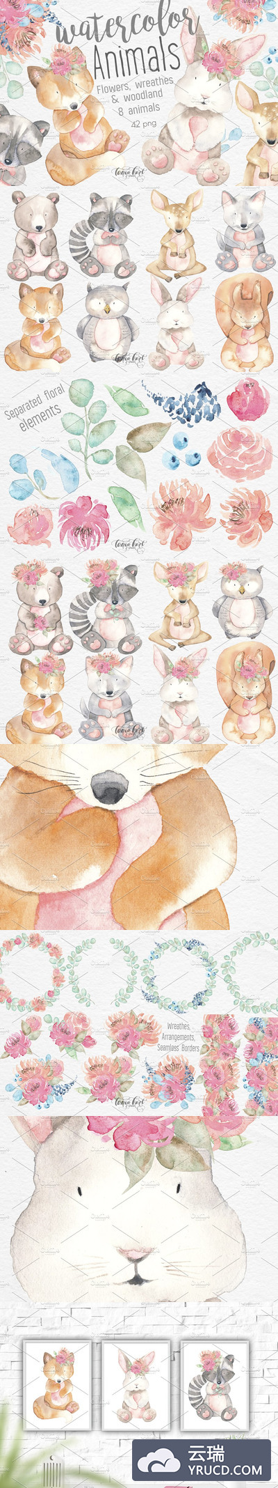 水彩动物花卉素材 Watercolor Animals, Flowers Clipart