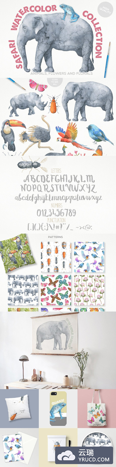 野生大象水彩图形 Safari Watercolor Collection Pro