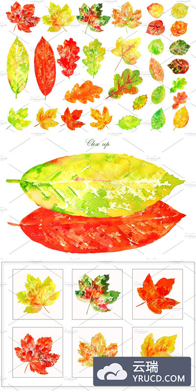 秋季水彩树叶素材 Watercolor Colorful Leaves Clipart