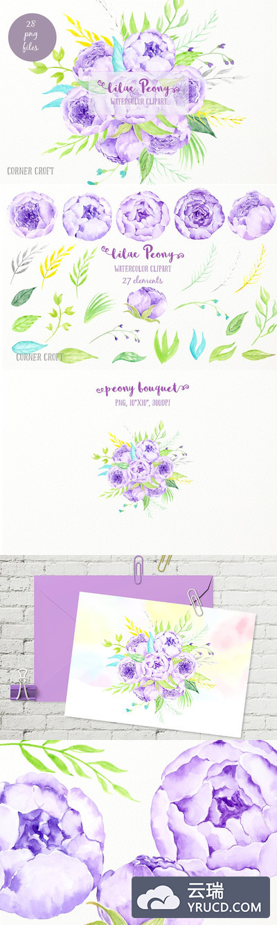 紫色水彩花束 Watercolor Lilac Peony Bouquet
