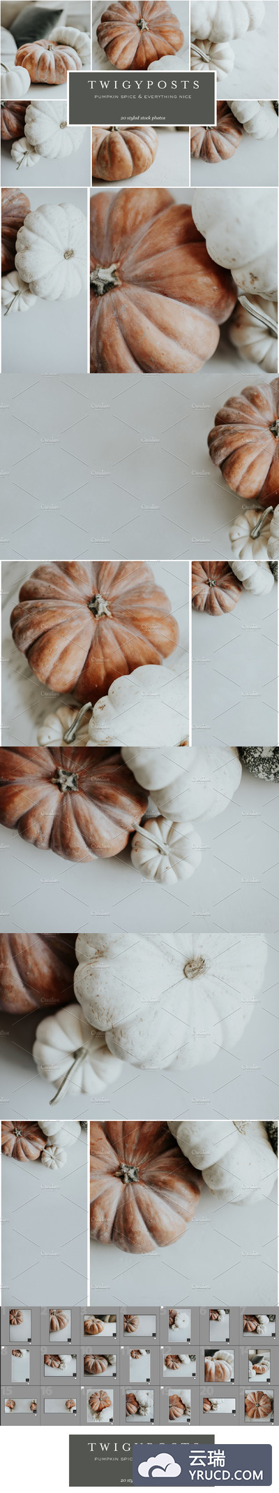 南瓜厨房场景样机 Pumpkin Spice Stock Photo Bundle