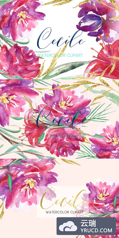 水彩玫瑰花卉素材 Cecile. Red & gold roses watercolor