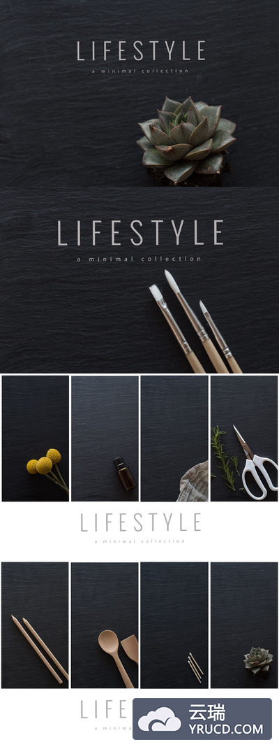 黑色的植物照片合集 Dark Background Stock Photos