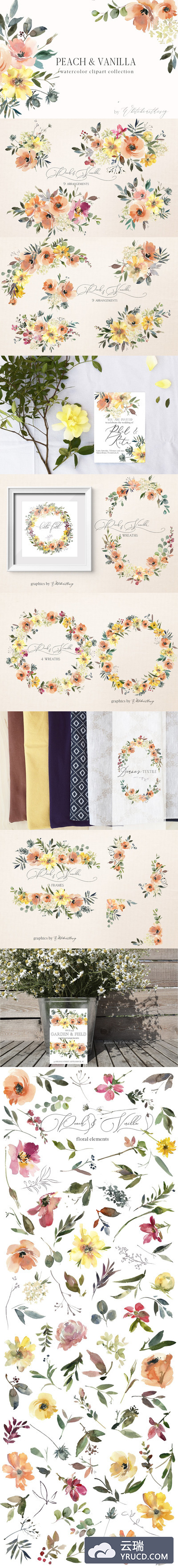 桃子和香草水彩剪贴画 Peach & Vanilla Watercolor Clipart